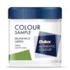 Dulux Sample Pot Brunswick Green 250ml 1 Dulux Sample Pot Brunswick Green 250ml -Wall Decoration Store 1847110 0 3