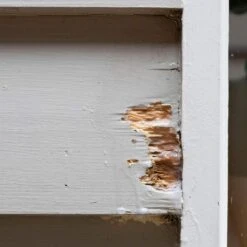 Earl's Wood Hardener 250mL -Wall Decoration Store 2401792 4