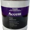 Accent Paint Remover 4L -Wall Decoration Store 5428099 0