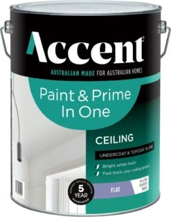 Accent Paint & Prime In One Ceiling White 10L