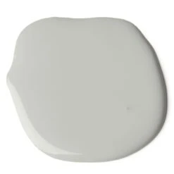 Accent Colorbond Shale Grey Paint