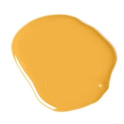 Accent Fuzzy Duckling Paint