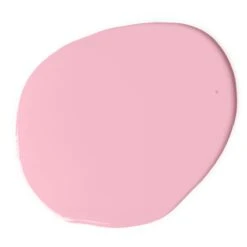 Accent Modern Pink Paint