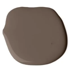 Accent Primitive Age Paint