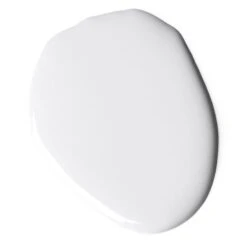 Accent Silky Smooth Paint