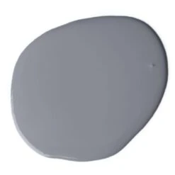 Accent Silver King Paint