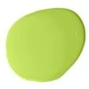 Accent Slime Lime Paint 1 Accent Slime Lime Paint -Wall Decoration Store slime lime