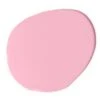 Accent Soft Charm Paint -Wall Decoration Store soft charm