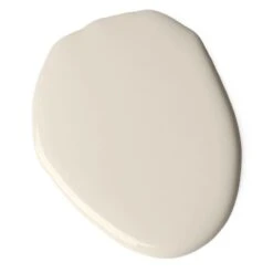 Accent Soft Vibe Paint