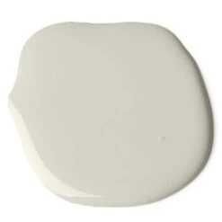 Accent White Wool Paint